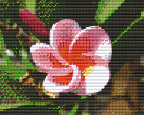 Pixelhobby Klassik Set - Rosa Blüte