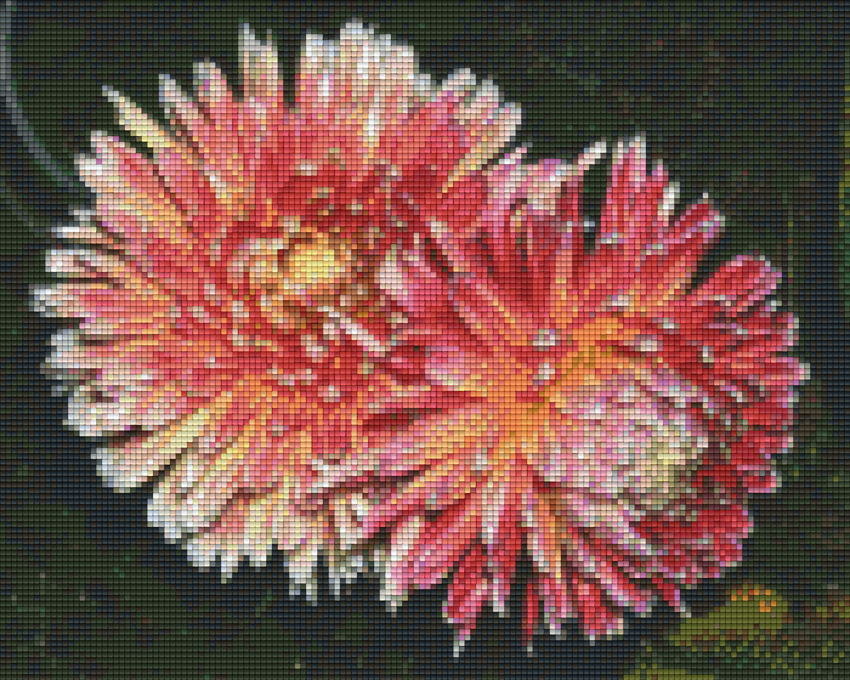 Pixelhobby Klassik Vorlage - Dahlien
