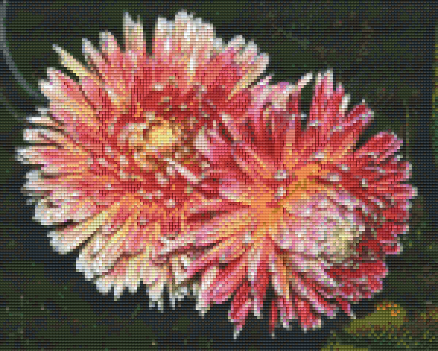 Pixelhobby Classic Set - Dahlias