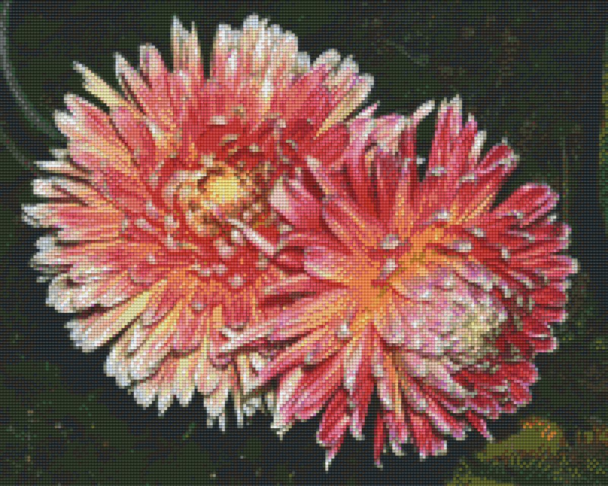 Pixelhobby Classic Template - Dahlias