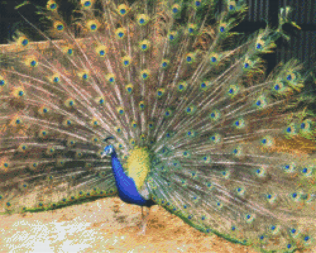 Pixelhobby Klassik Vorlage - Pfau