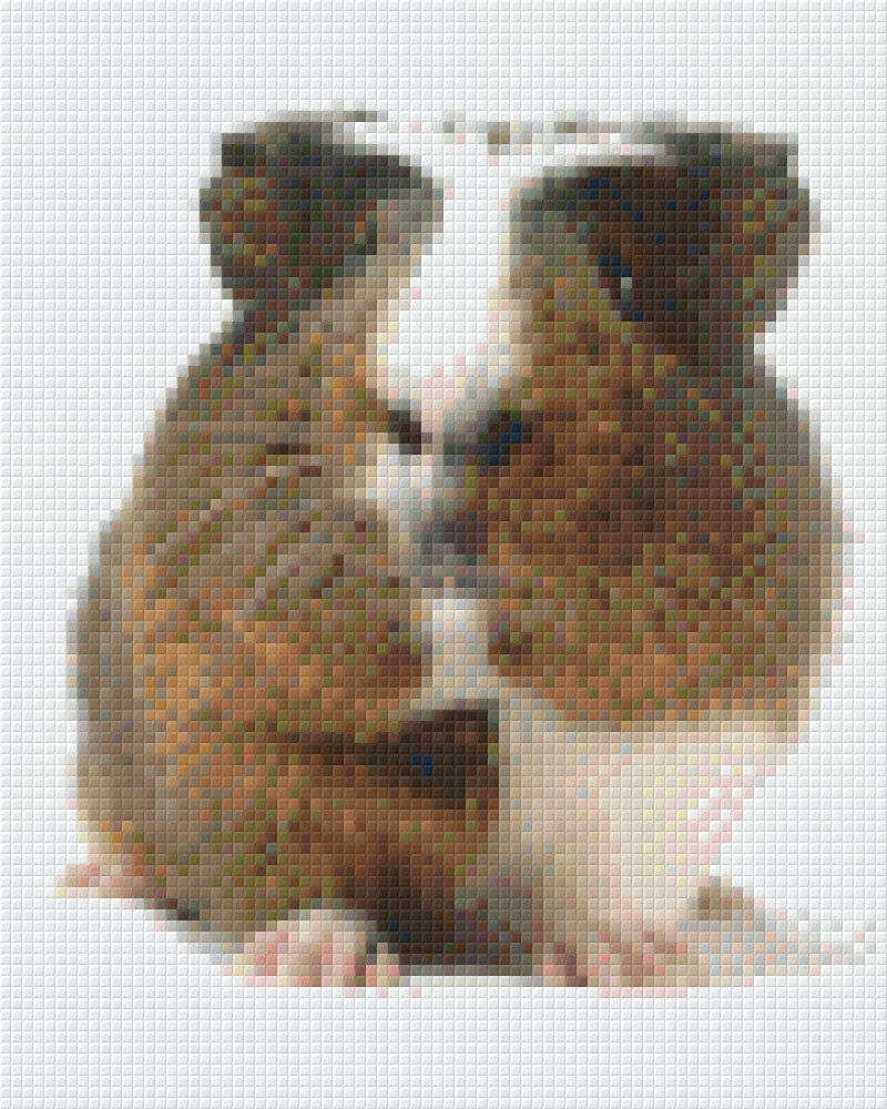 Pixelhobby Klassik Vorlage - Meerschweinchen