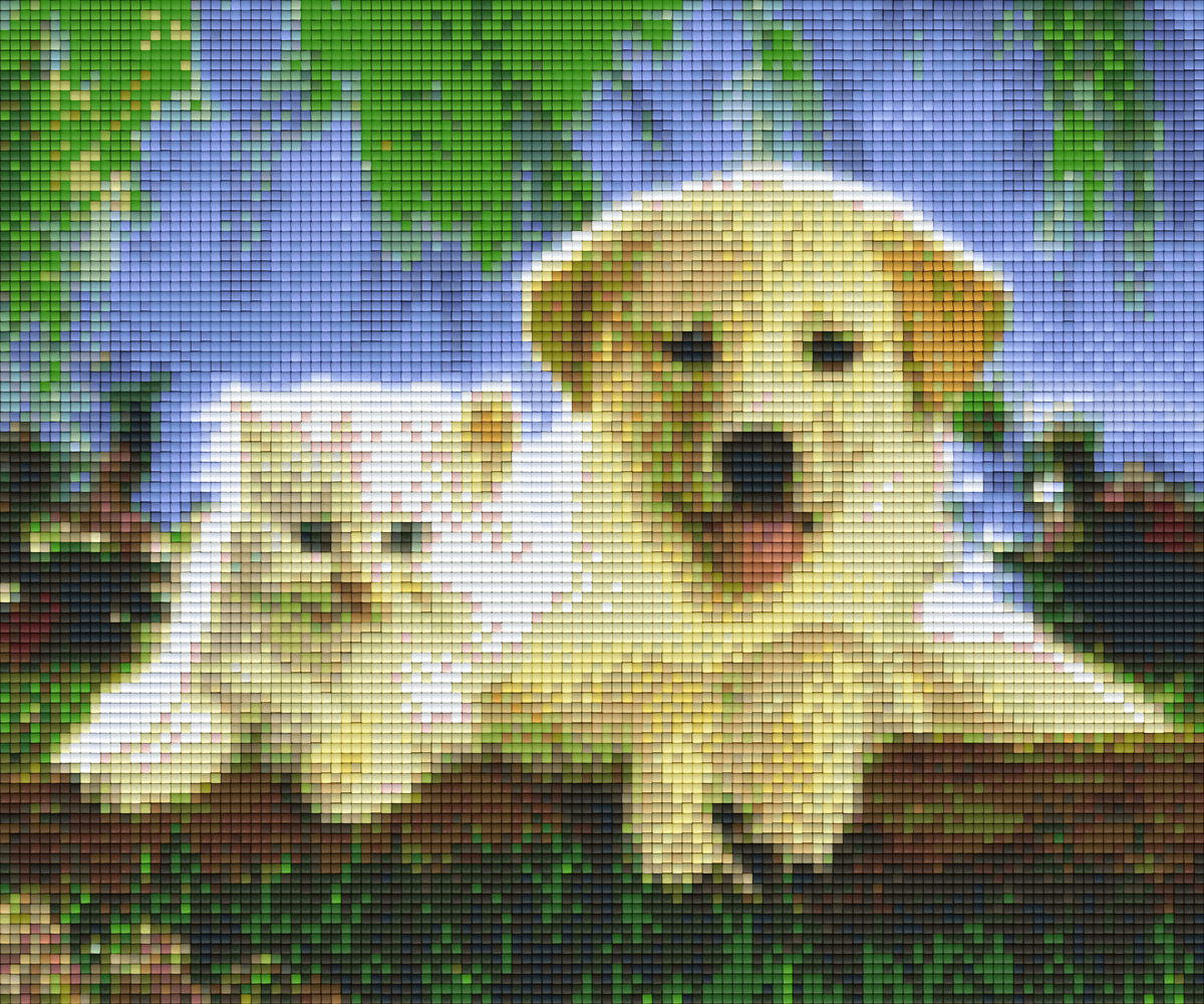 Pixelhobby Klassik Set - Hund und Katze