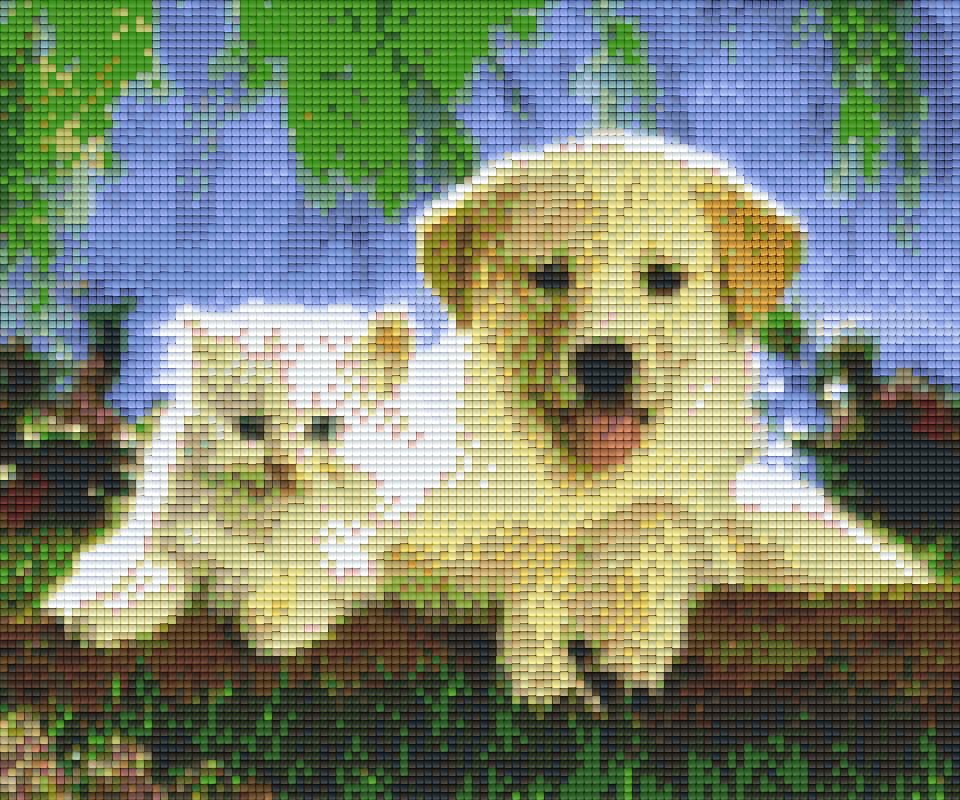 Pixel hobby classic set - dog and cat