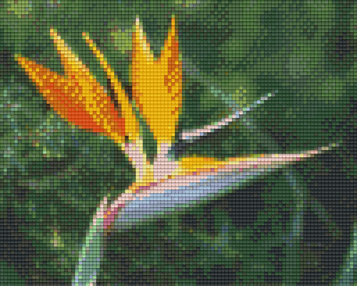 Pixelhobby Classic Set - Blossom Firebird
