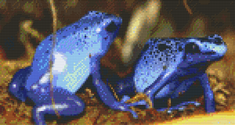 Pixel hobby classic set - blue frogs