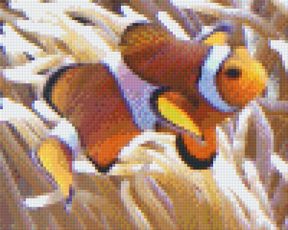 Pixelhobby Klassik Vorlage - Clownfisch