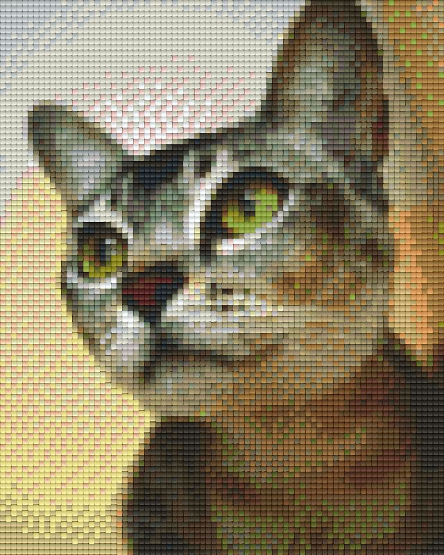 Pixel hobby classic set - cat