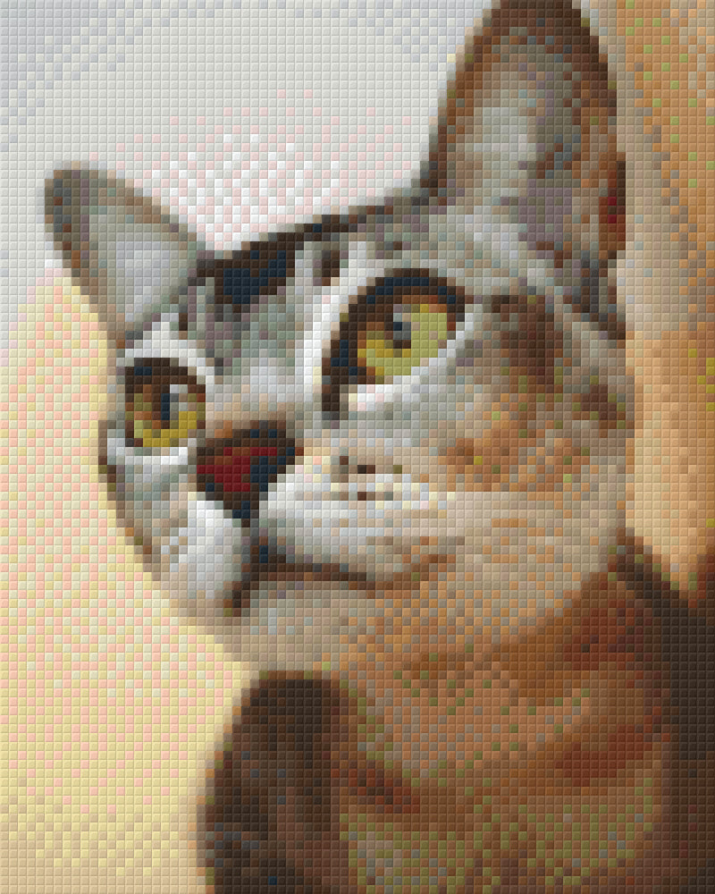 Pixelhobby Klassik Vorlage - Katze