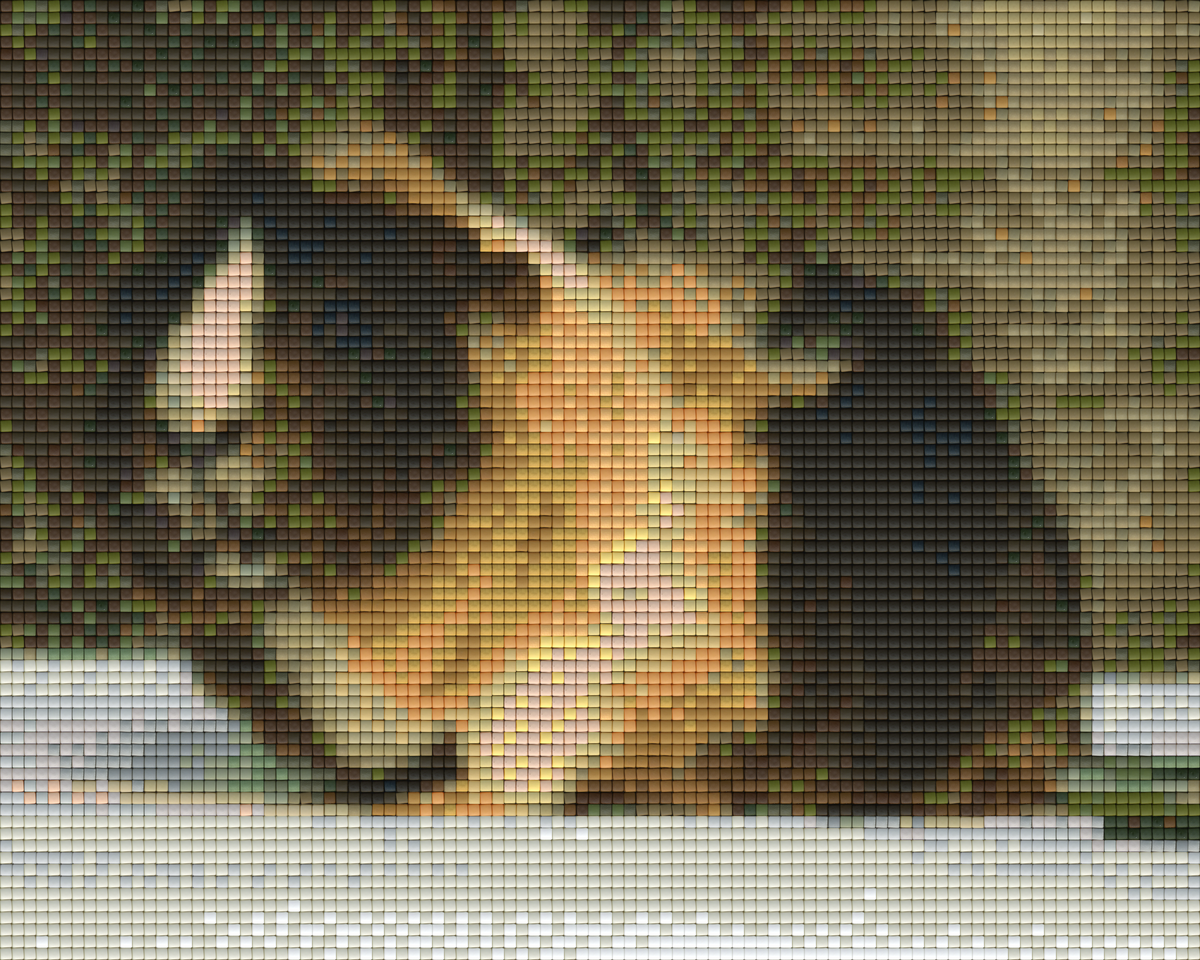 Pixelhobby Klassik Set - Meerschwein