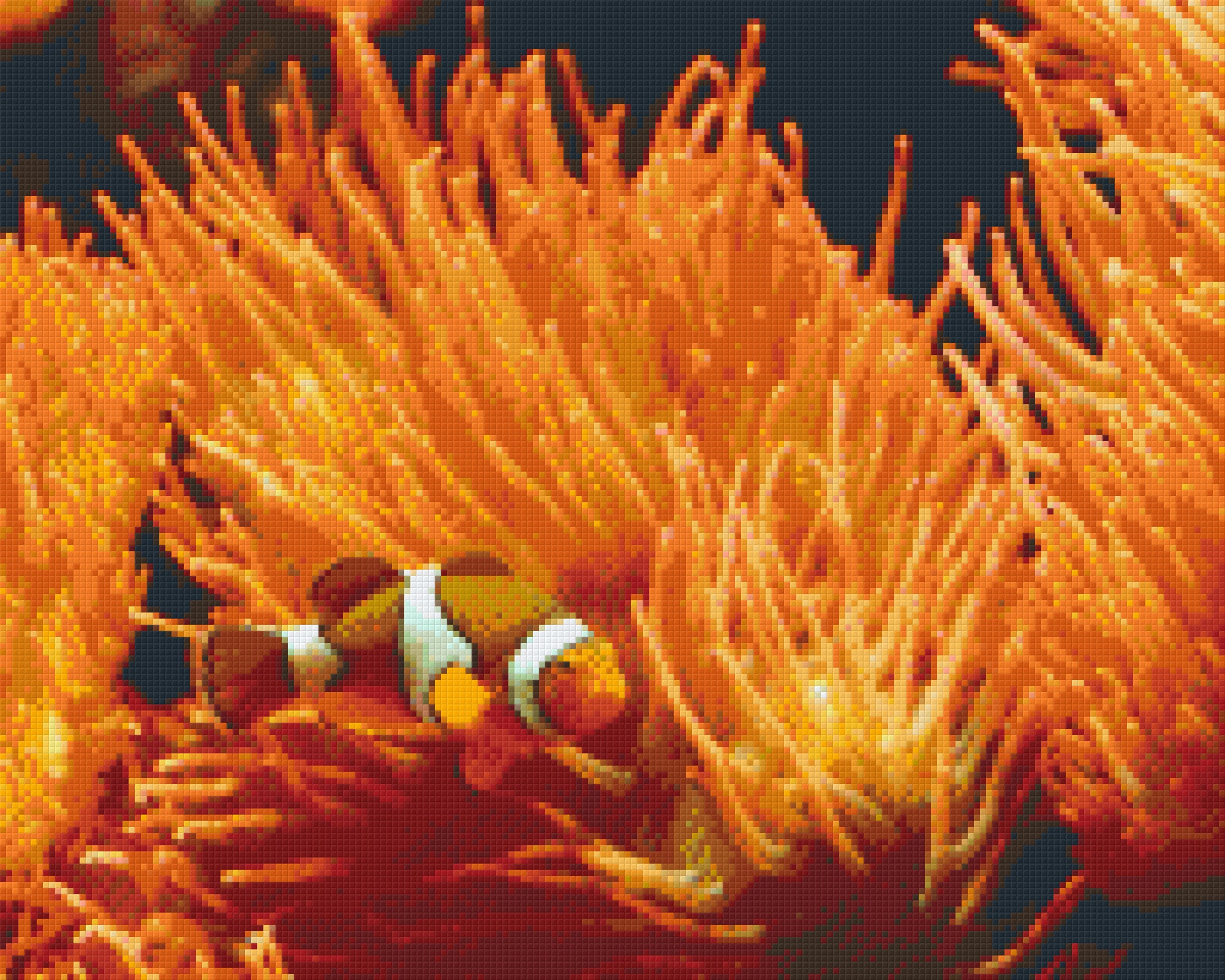 Pixelhobby Klassik Vorlage - Anemone und Clownfisch