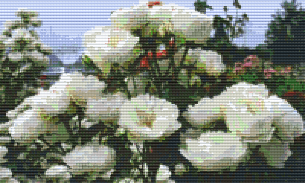 Pixelhobby Classic Set - White Rose