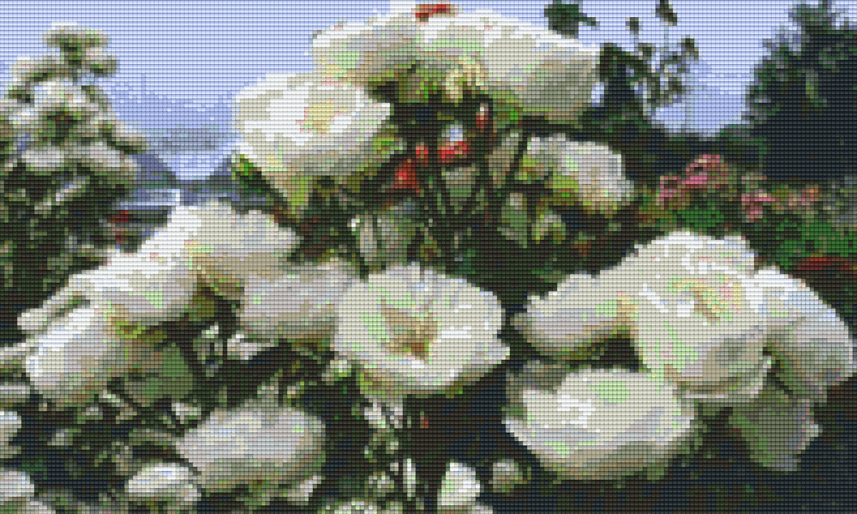 Pixelhobby Klassik Set - Weiße Rose