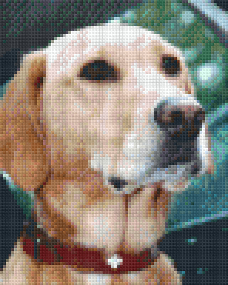 Pixelhobby Klassik Vorlage - Goldi