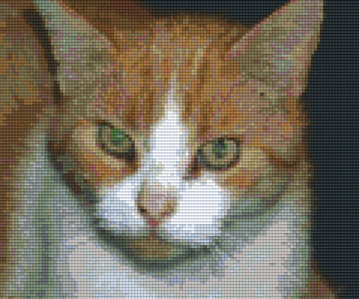 Pixel hobby classic template - cat Mowgli