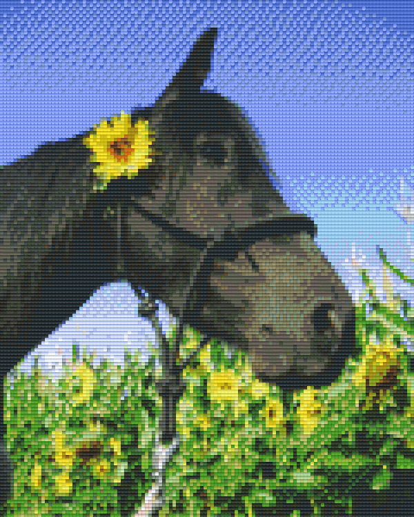 Pixel Hobby Classic Set - Flower Horse