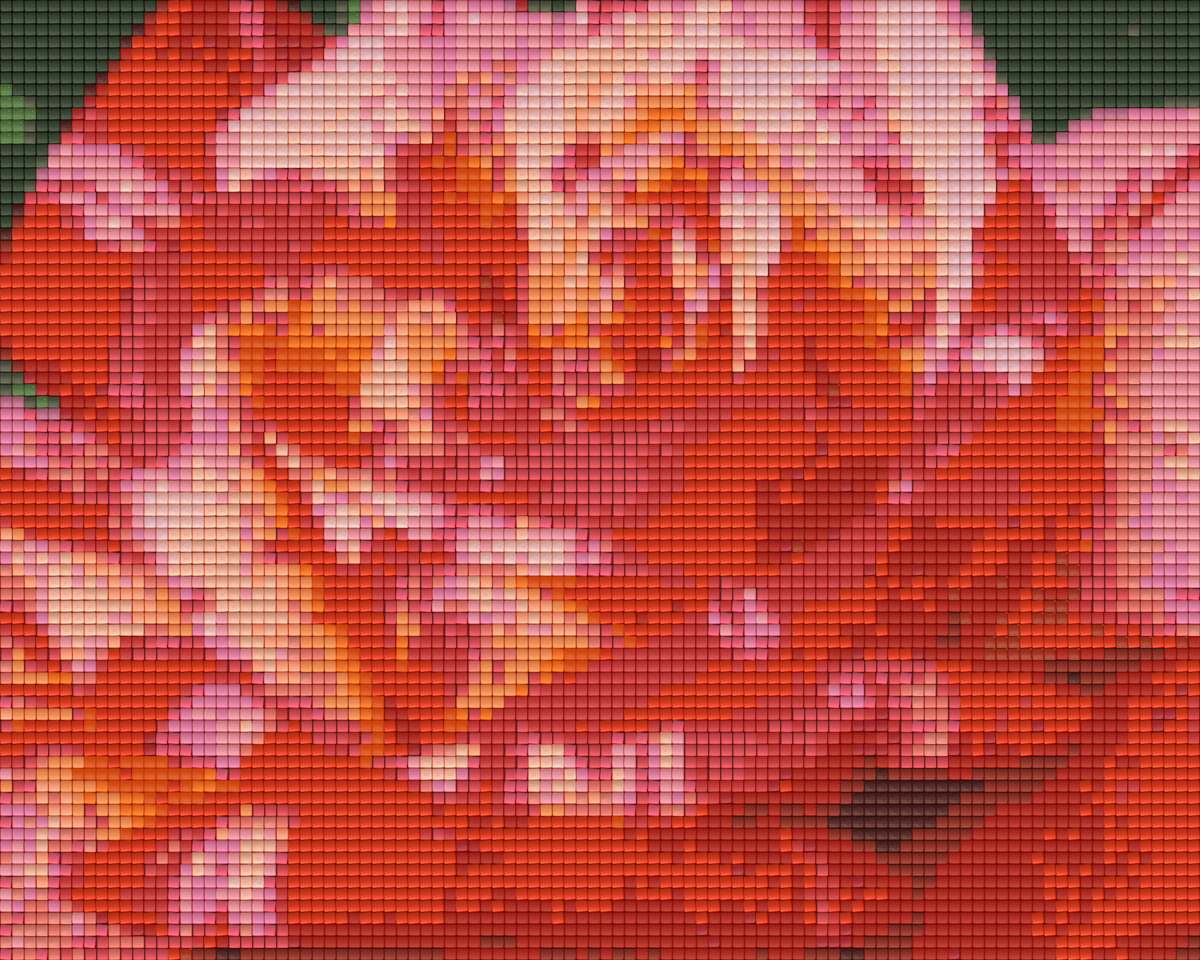 Pixelhobby Klassik Set - rote Kletterrose