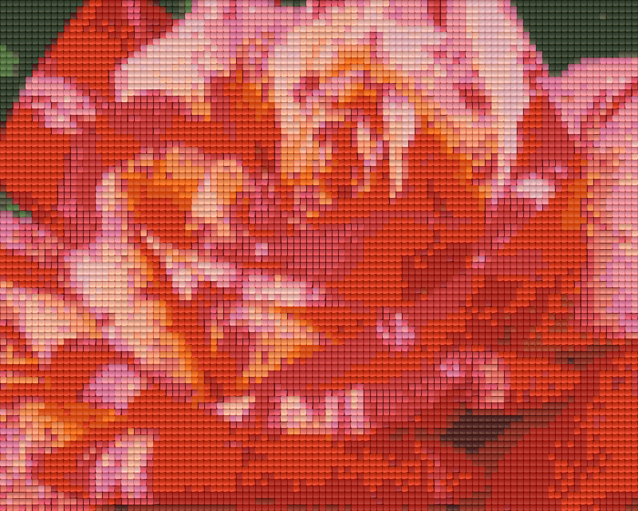 Pixelhobby classic set - red climbing rose