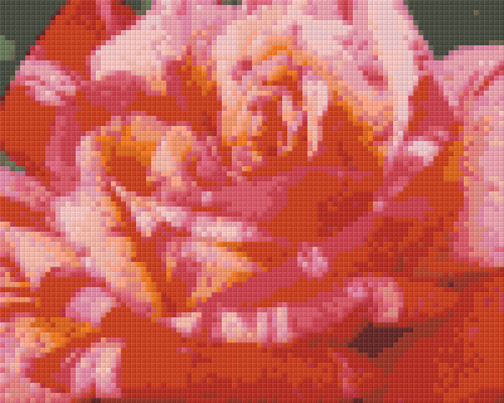 Pixelhobby Klassik Vorlage - rote Kletterrose