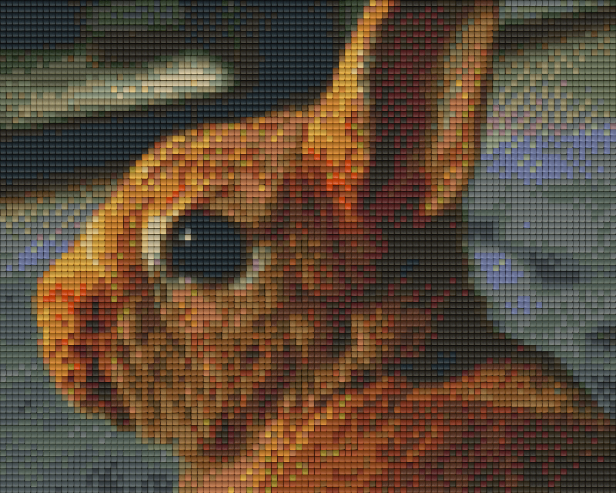 Pixel hobby classic set - rabbit