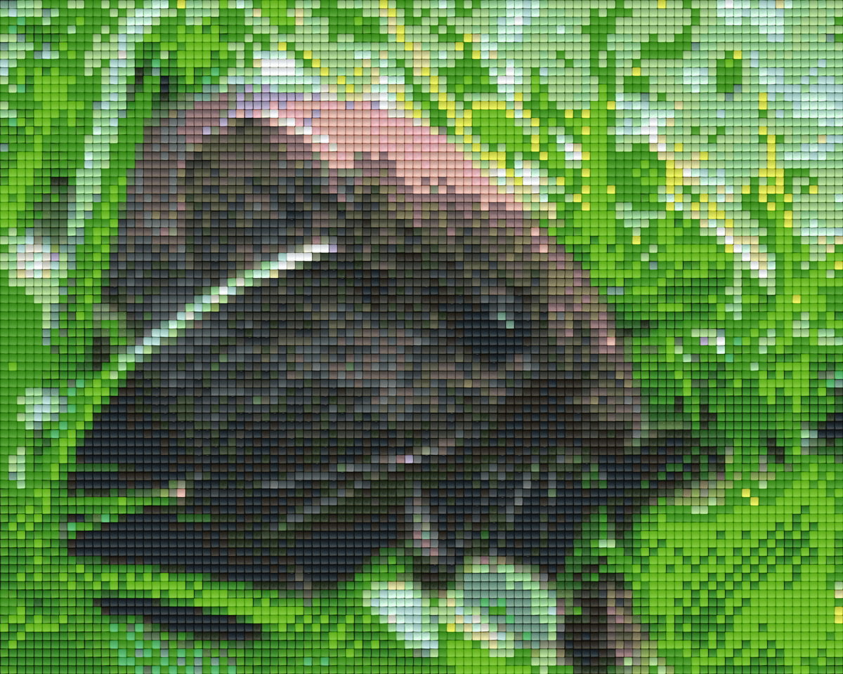 Pixelhobby Klassik Vorlage - Maus