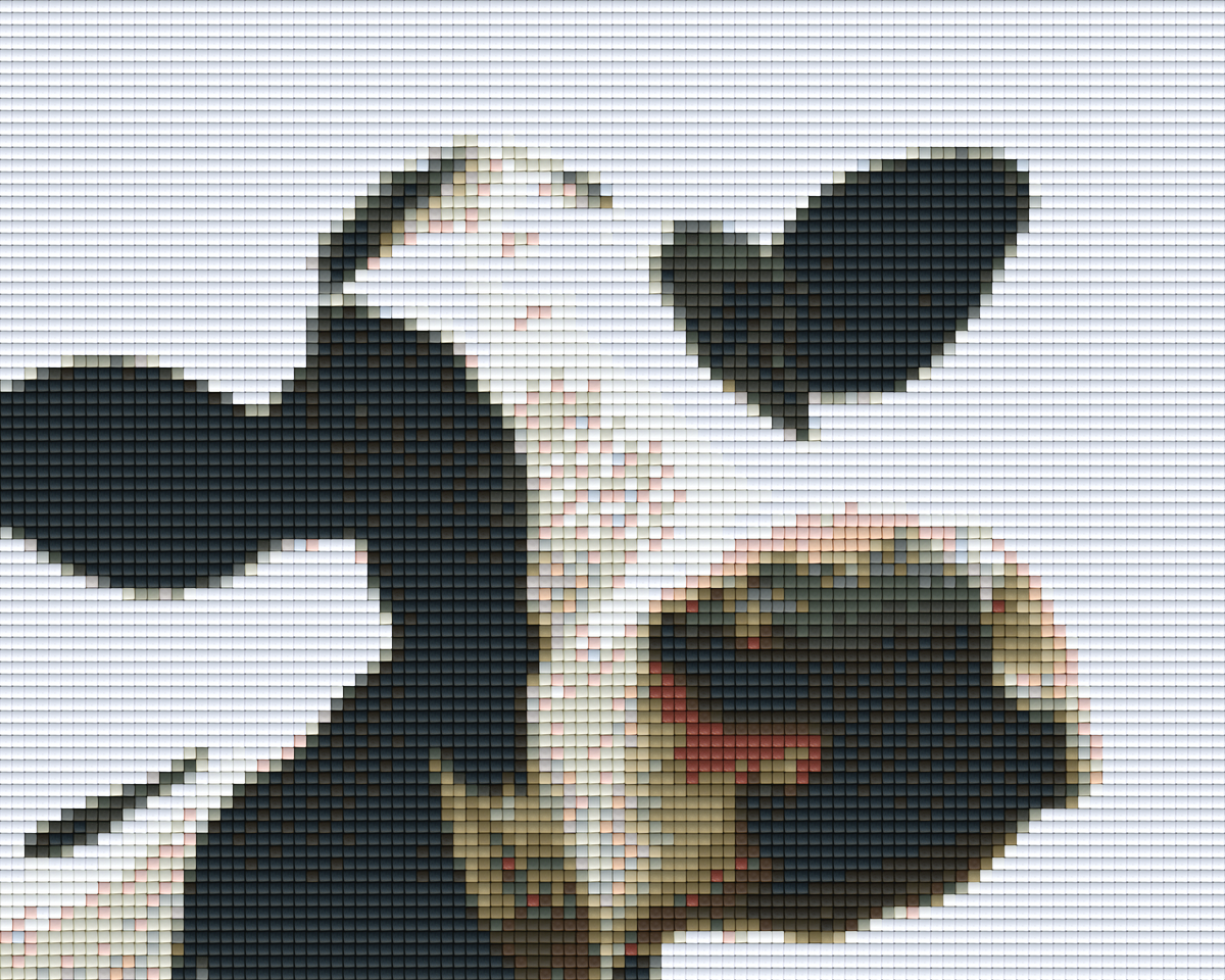 Pixelhobby Klassik Set - Muh Kuh