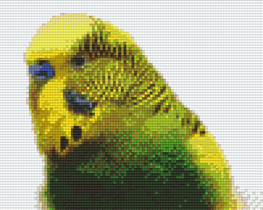 Pixelhobby Classic Set - Budgie