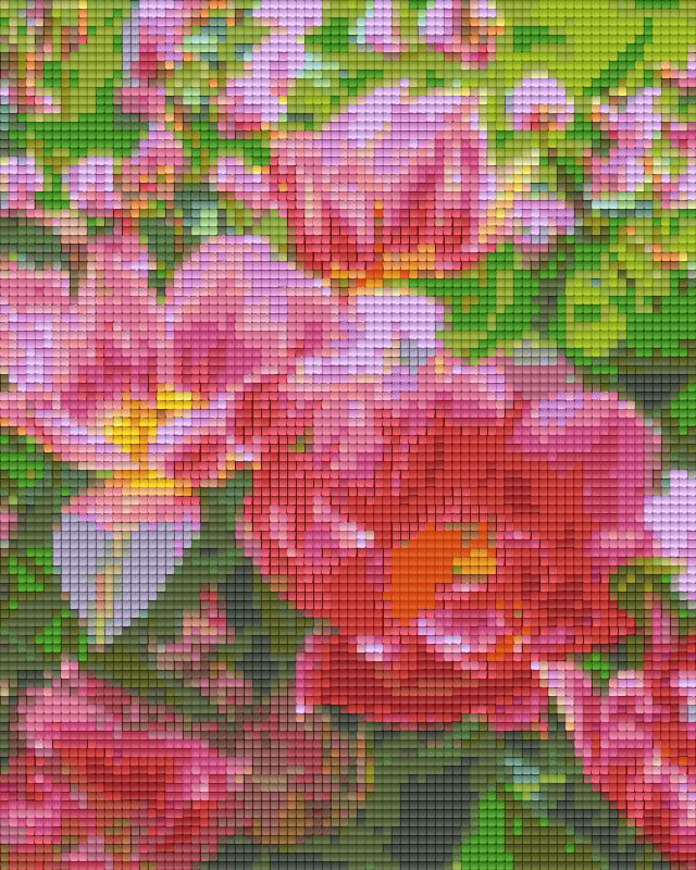 Pixelhobby classic set - tulips in pink