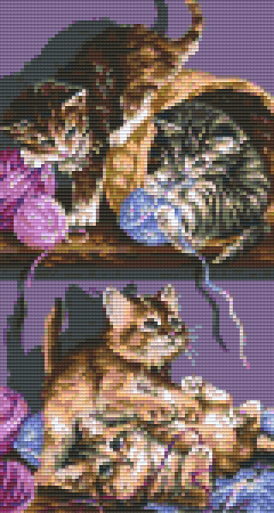 Pixelhobby Klassik Set - verspielte Katzen