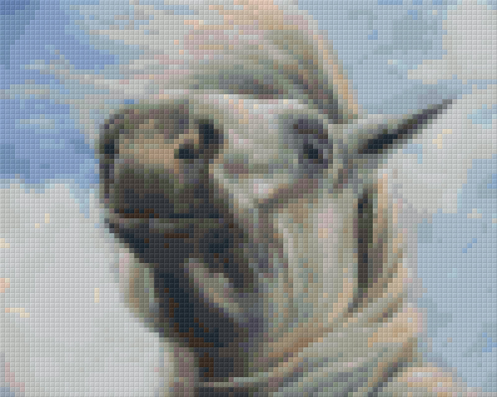 Pixelhobby Klassik Vorlage - Andalusier Kopf