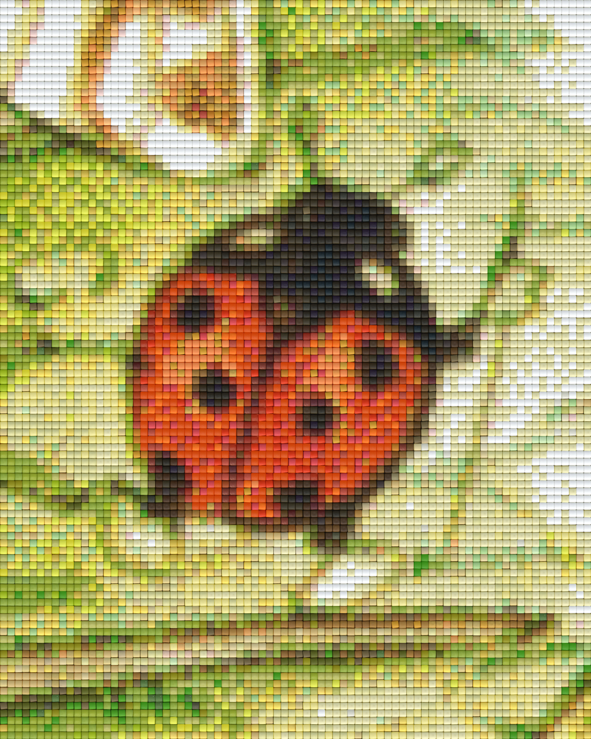 Pixelhobby Klassik Vorlage - Meister Siebenpunkt