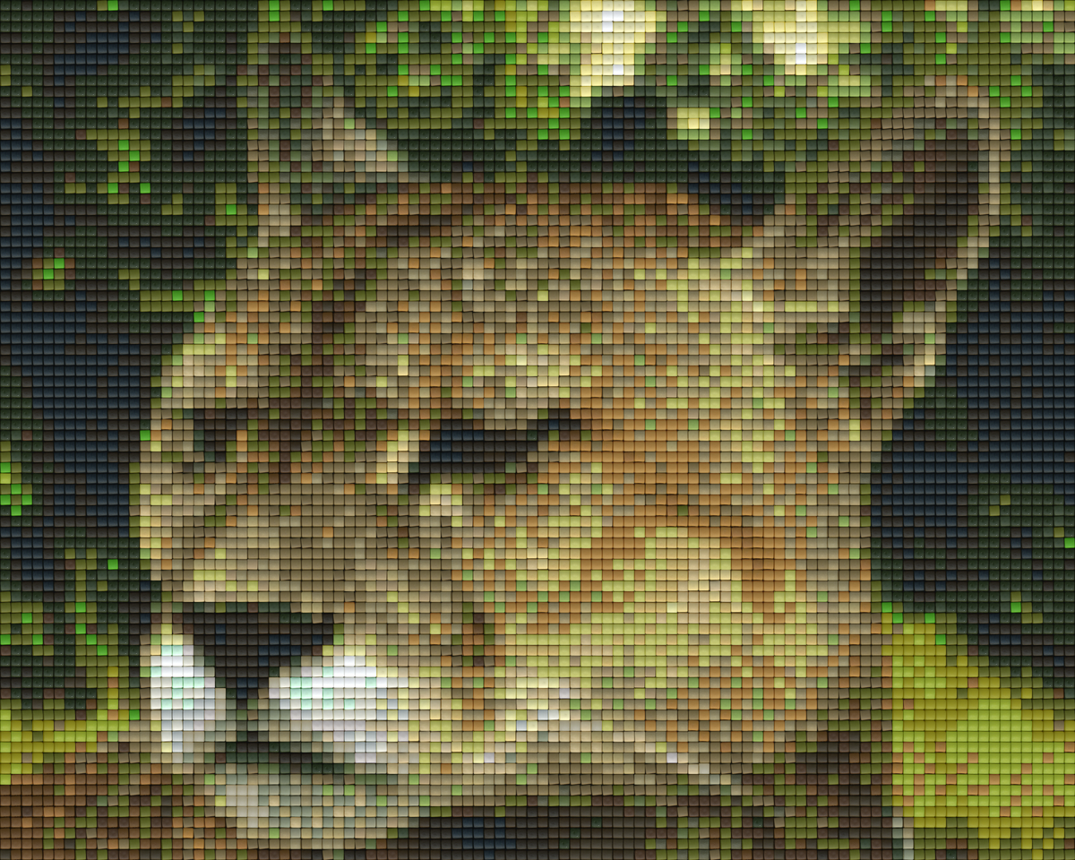 Pixelhobby Klassik Vorlage - Wildkatze