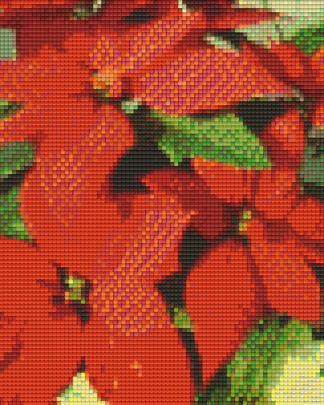 Pixel hobby classic set - poinsettia