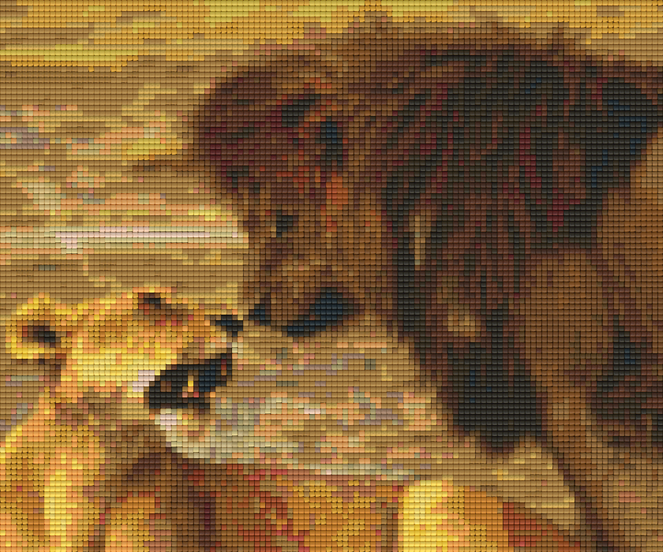 Pixelhobby Klassik Set - Löwe und Löwin