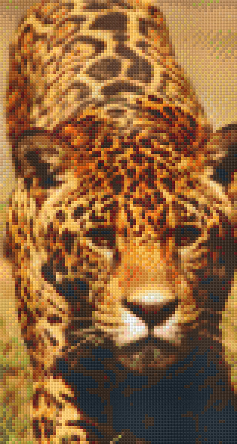 Pixelhobby Klassik Vorlage - Leopard