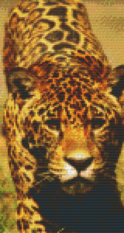 Pixel Hobby Classic Set - Leopard