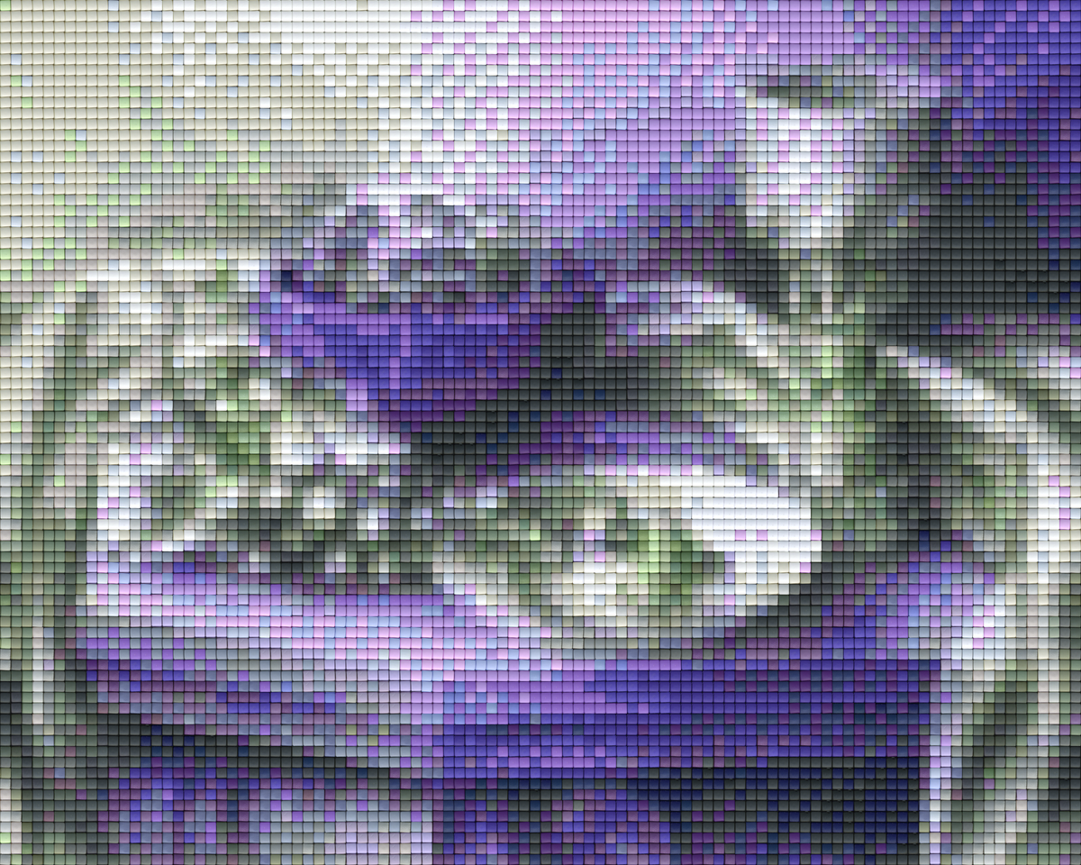 Pixelhobby classic set - still life with fruits in purple