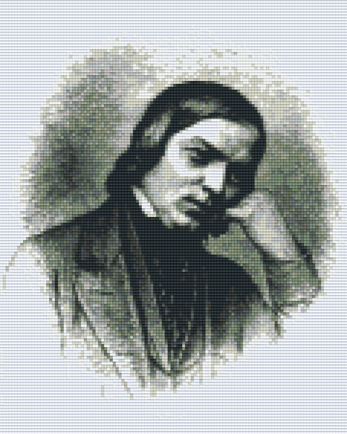 Pixelhobby Klassik Vorlage - Robert Schumann