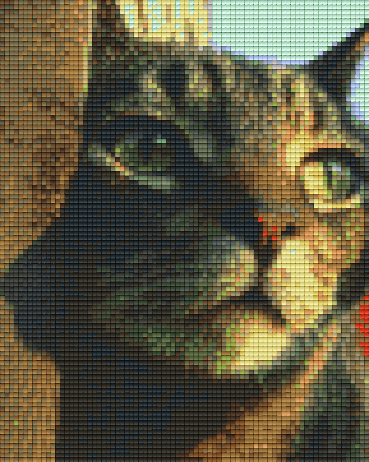 Pixelhobby Klassik Vorlage - Träumende Katze