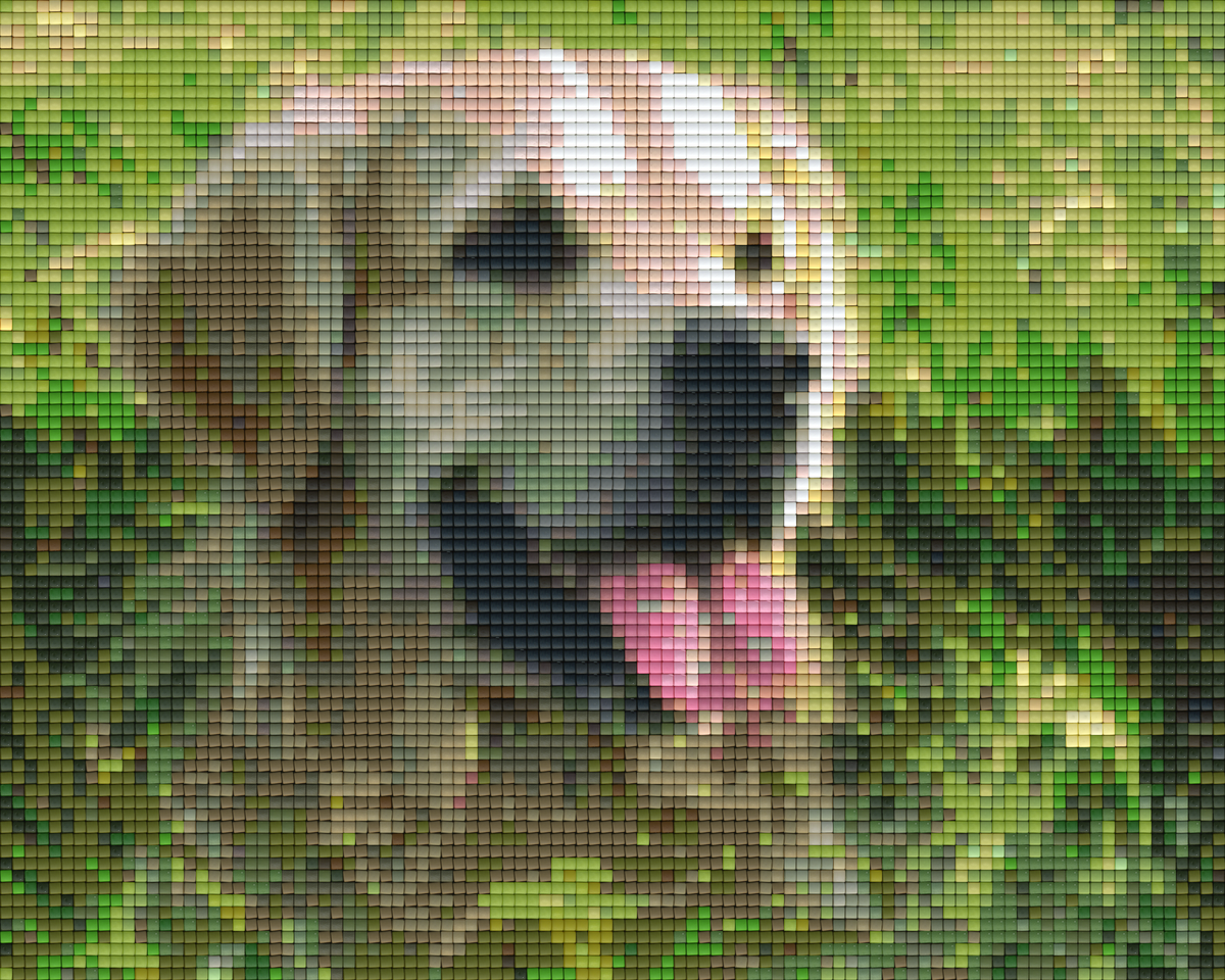 Pixelhobby Klassik Set - Im Feld
