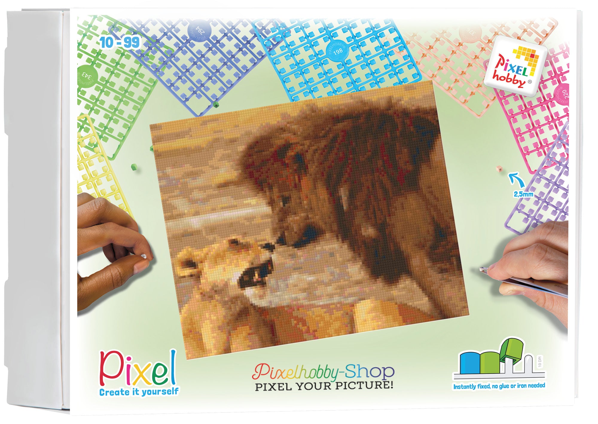 Pixelhobby Klassik Set - Löwe und Löwin
