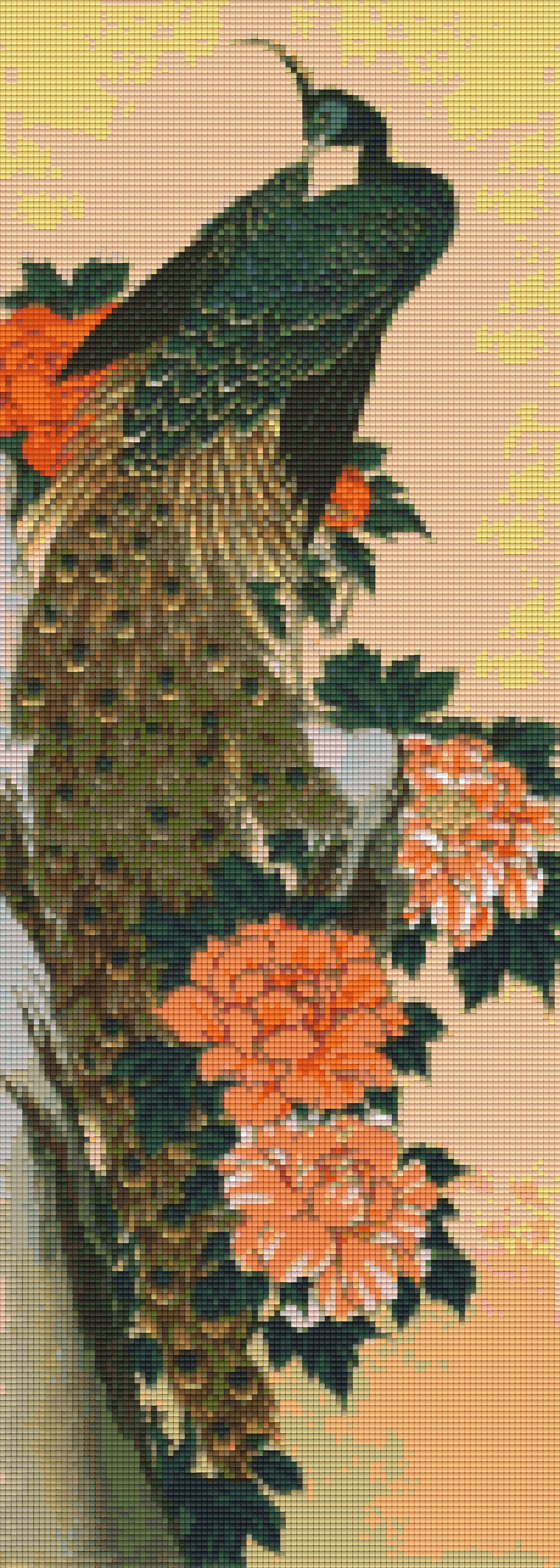 Pixelhobby Classic Set - Peacock Peacock