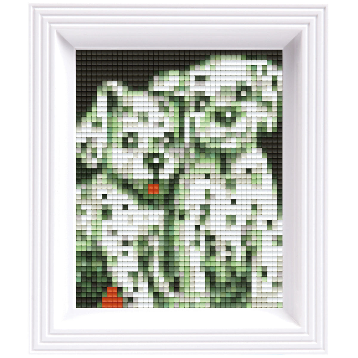 #Bilderrahmen_weiß #Pinzette_keine Pinzette