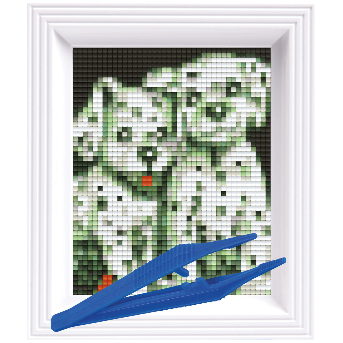 #Bilderrahmen_weiß #Pinzette_Kunststoffpinzette