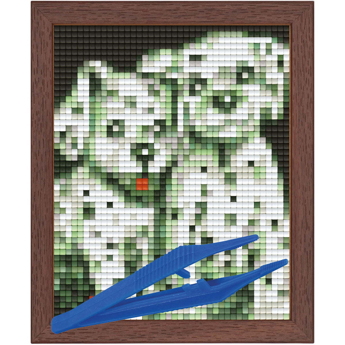 #Bilderrahmen_Walnuss #Pinzette_Kunststoffpinzette
