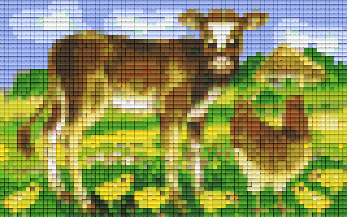 Pixelhobby Klassik Set - Farm Chat