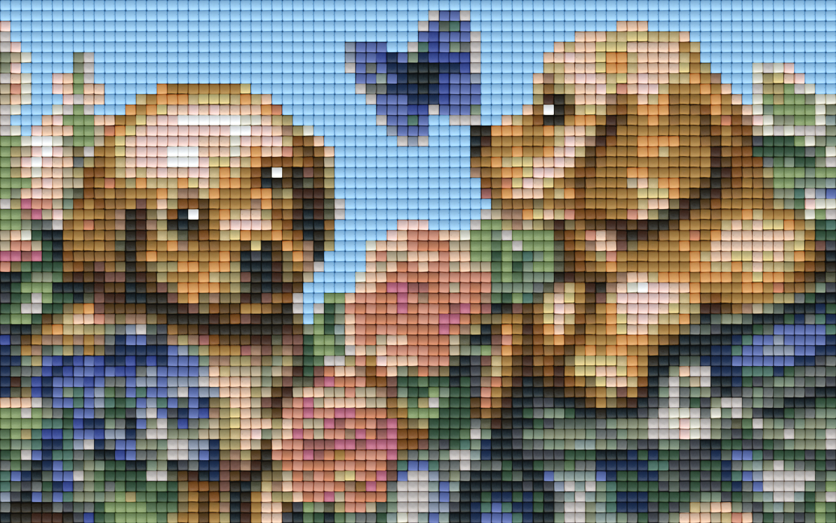 Pixelhobby Klassik Vorlage - Garden Fun