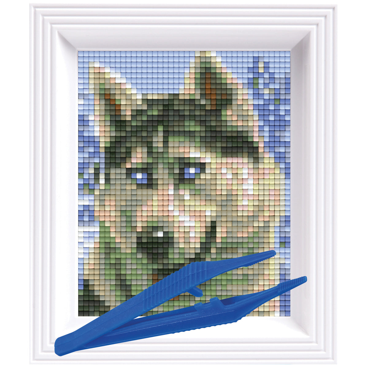 #Bilderrahmen_weiß #Pinzette_Kunststoffpinzette