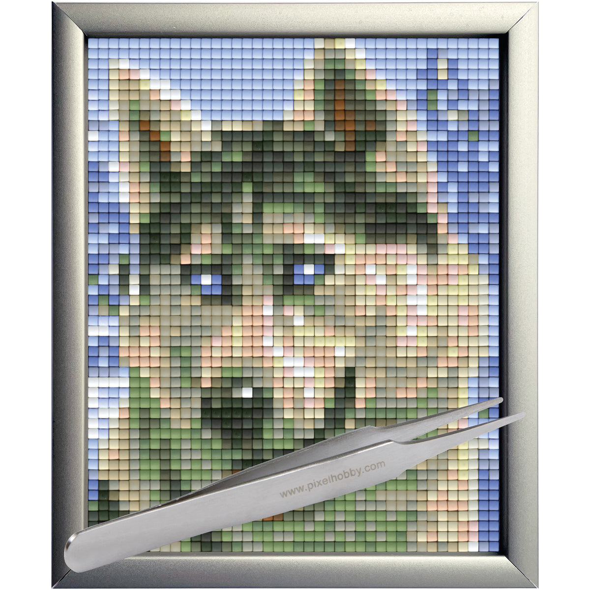 #Bilderrahmen_Aluminium silber #Pinzette_Pinzette gerade