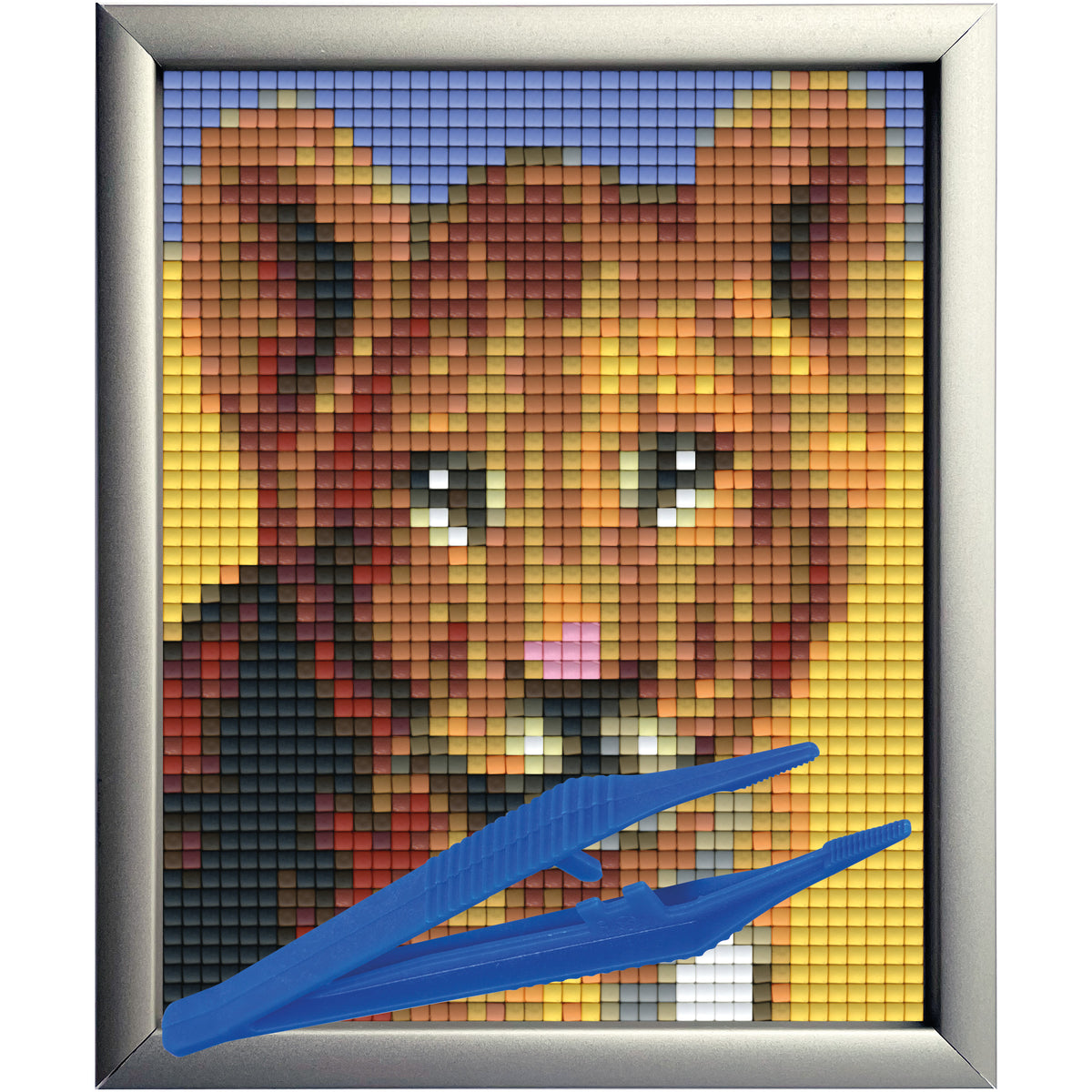 #Bilderrahmen_Aluminium silber #Pinzette_Kunststoffpinzette